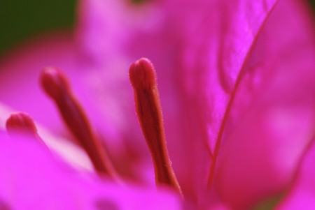 Spring Is Here