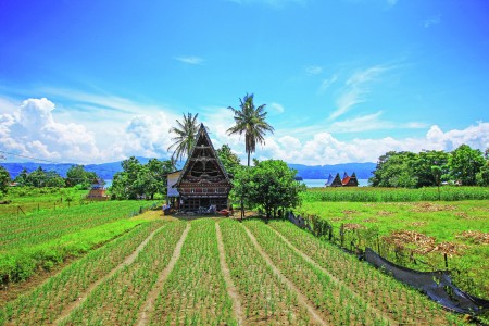 Batak Traditional House