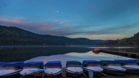 An Early Morning at Lake Titisee