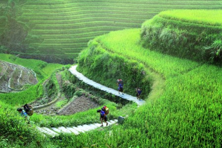 Carrier Women of Longji