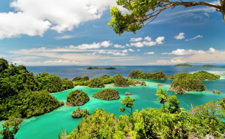 Wonderful Paradise