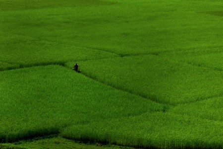 Walking on a green carpet