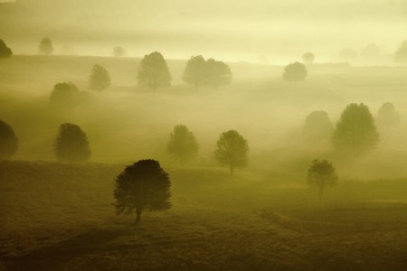 Mist