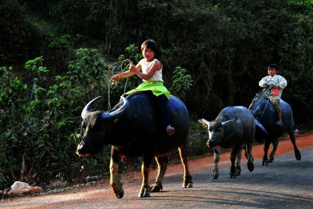 Vá»€ NHÃ€