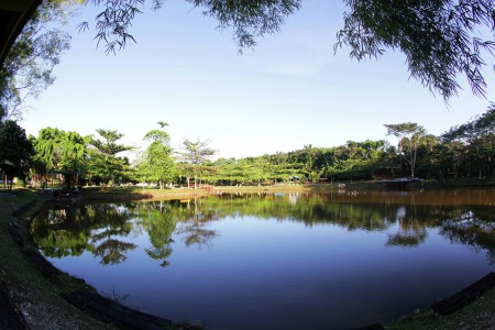 Danau