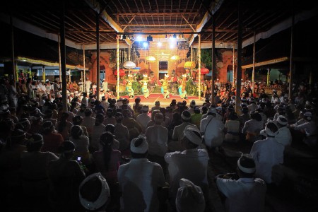 The Show
