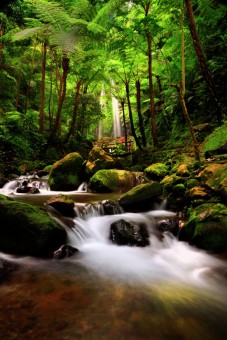 Jumog waterfall
