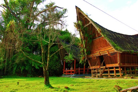 The Original Ruma Batak