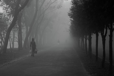 In the mist!