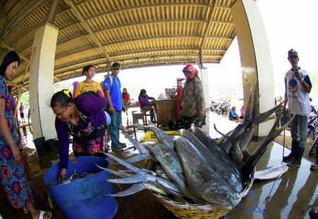 Pusat Lelang Ikan