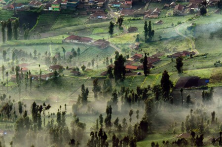 Village