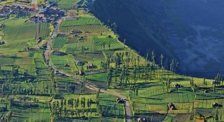Green Village