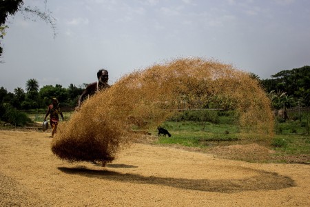 Bumper Production -2