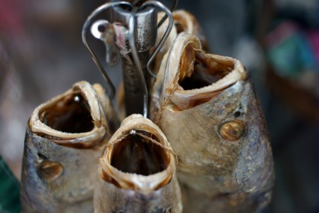 salty and dry fish