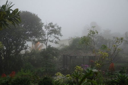 A hut surrounded by mist