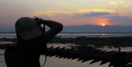 The Photographer