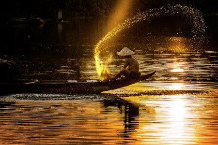 Vá»‡t náº¯ng chiá»u.