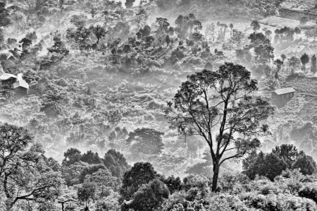 Fog over Africa