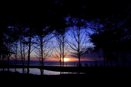 Kegembiraan di balik senja dan cemara