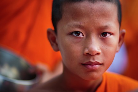 Novice Monk