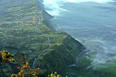 The Village