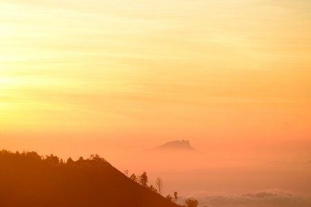 Orange Sky