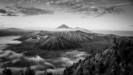 Misty Bromo