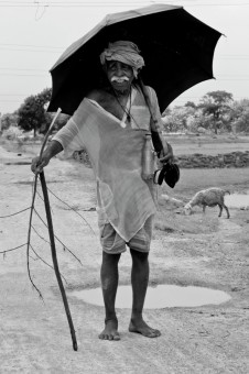 OLD SHEPHERD
