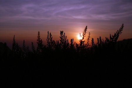 bromo sunrise