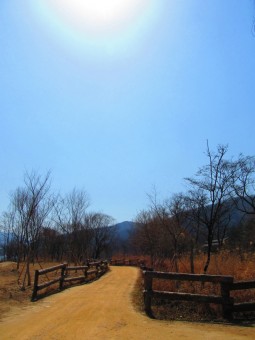 Path of Love