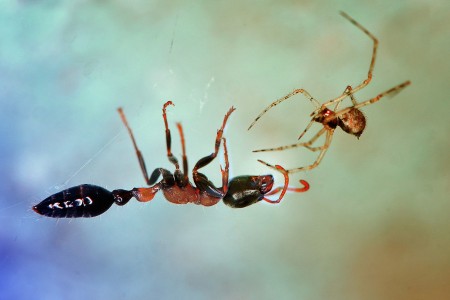 Fighting for Life