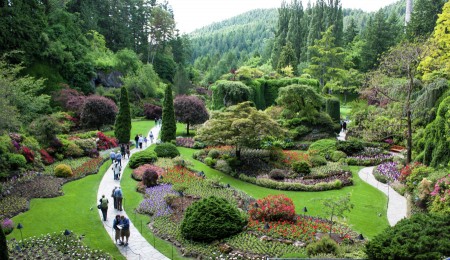 Beauty of the Butchart Garden