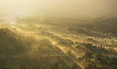 Misty Morning