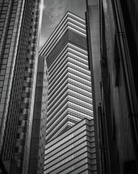 concrete jungle
