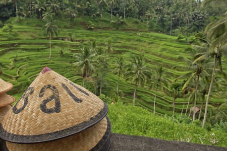 Rice terrace headwear?