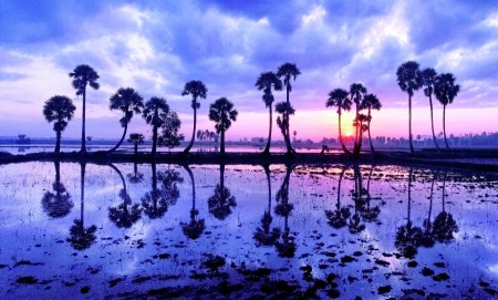 Sunrise_on_The_Thotnot_Feild