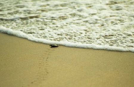 Mom, i got the ocean