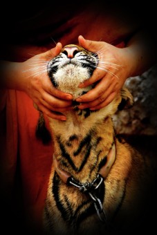 Emotion