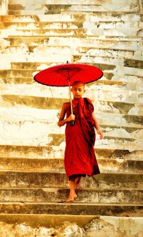 Little monk