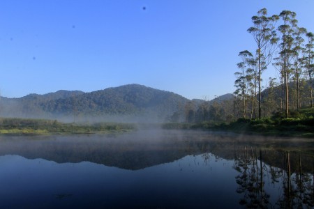 Pagi di Ciwidey