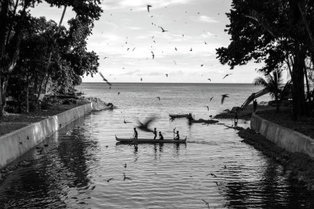 Bersama Burung-Burung