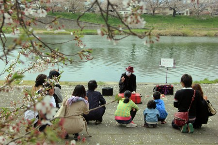 Hanami with Magic Performance