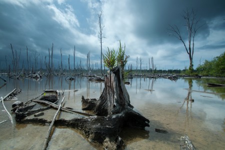 Kehidupan di Atas Ketandusan