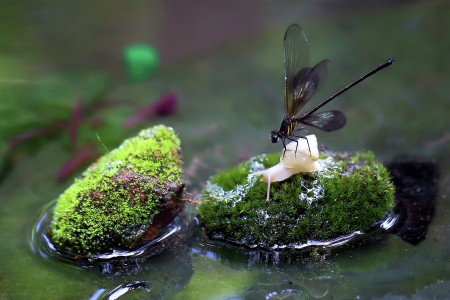 False Landing