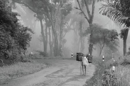 petani