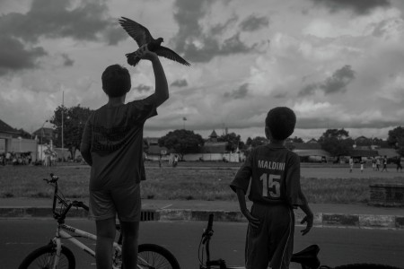 Kids, Bike, and Pigeon