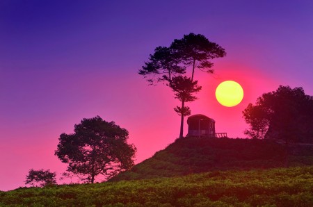 " The Sunset "