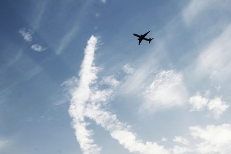 Fly High