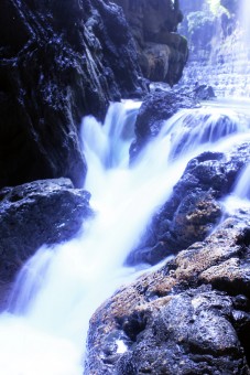 Cotton Water