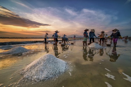 Sea salt filed in Hon Khoi - Vietnam